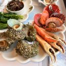 통영다찌 이미지