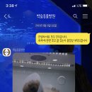 백슬동물병원 이미지