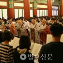 법륜정사 Daum카페