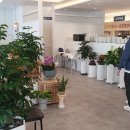 더락식향950목포본점 이미지