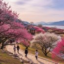 용당수변공원 화장실 이미지