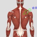 화목한의원 이미지