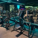 에스휘트니스 이미지