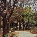 신트리공원 배드민턴장 이미지