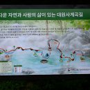 대원사계곡 이미지