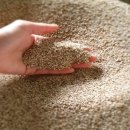 도개다곡길 이미지