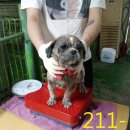 간석지구대 이미지