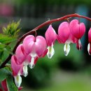 행복을 만드는 사람들 이미지