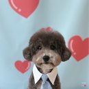 Onene(오네네) 이미지