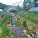 덕이 농장 이미지