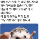 휴먼스(2015) 시즌1 후기 / 인공지능 AI 관련 드라마,컨텐츠 추천