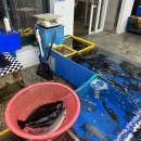 이모상회 이미지