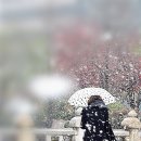 토소