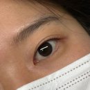 고고뷰티 왁싱피부 건대점 | 고고뷰티 속눈썹왁싱피부 건대점 짧은 속눈썹도 완벽하게 가능한 건대 속눈썹펌
