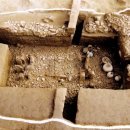 수촌리 고분군 이미지