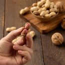 콩사랑마을기업 이미지