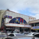 스컬스 피시 이미지