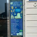 자주적관람 이미지