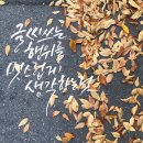 한글의 외출복, 캘리그라피 이미지