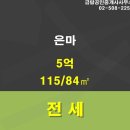 금탑 공인중개사 이미지