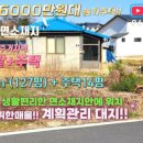 금은동공인중개사사무소 이미지