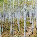 인제관광정보센터 이미지