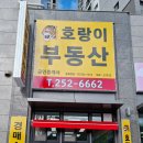 호랑이공인중개사사무소 이미지