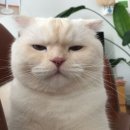 묘한호텔 이미지