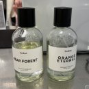 니어 포레스트 이미지