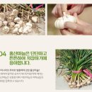 홍산 Daum카페