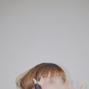 하비스튜디오