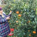 은파농장 이미지