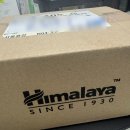 생성-꽃이피다 이미지