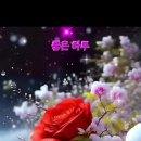 들꽃풍경 이미지