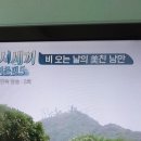 삼시세끼시즌5에서 나오는 나무 이미지