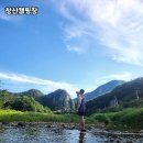 청산환경 | 강원 원주 자연 속 힐링 캠핑! 청산캠핑장 솔직 후기 🍃