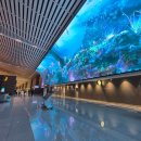 GS25(공항제일점) | 방콕 가성비 0.5박 호텔 트루시암 파야타이 숙박후기 ｜수완나폼 공항 픽업 서비스 이용