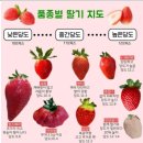 쉬리농장 이미지