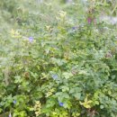 이천농업테마공원 안내센터 이미지