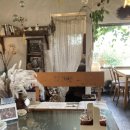 스테이 장성 이미지