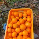 순애농장 이미지