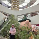 코스트코홀세일베이커리 | 경기도 나들이 일산 별마당도서관 트레이더스 홀세일 클럽 일산점