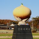 농업회사법인주식회사 보리담은 티스토리