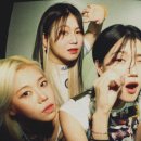 (유)진투어 이미지