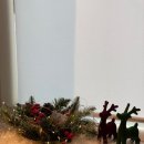 편한, 안 정신건강의학과의원 이미지