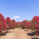 송하농장 이미지