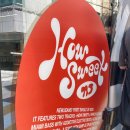 포토 프렌즈 | [스페셜 포토덤프] 뉴진스 HOW SWEET 라인프렌즈 신사 팝업스토어 후기