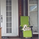 원담 민박 이미지