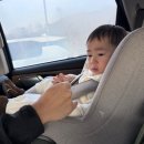 파란나라어린이집 | 𝙎𝙔𝘿𝙉𝙀𝙔 1