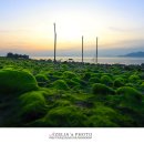 바다스토리리조트 이미지